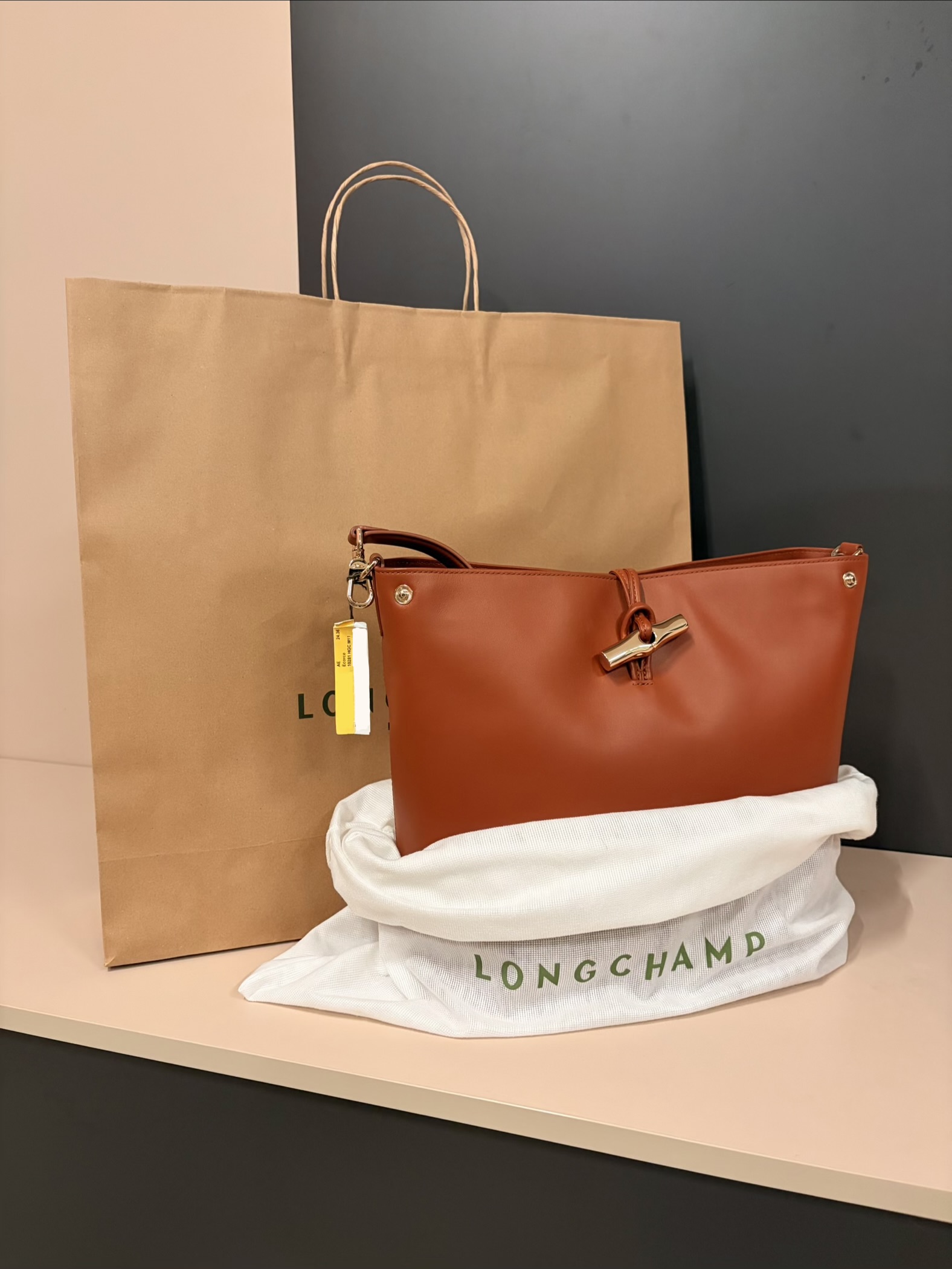 Le Roseau M Hobo Bag thumbnail 4