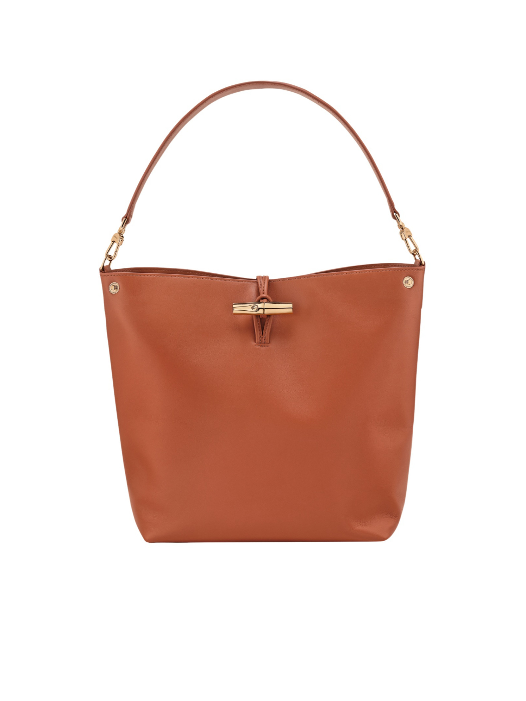 Le Roseau M Hobo Bag