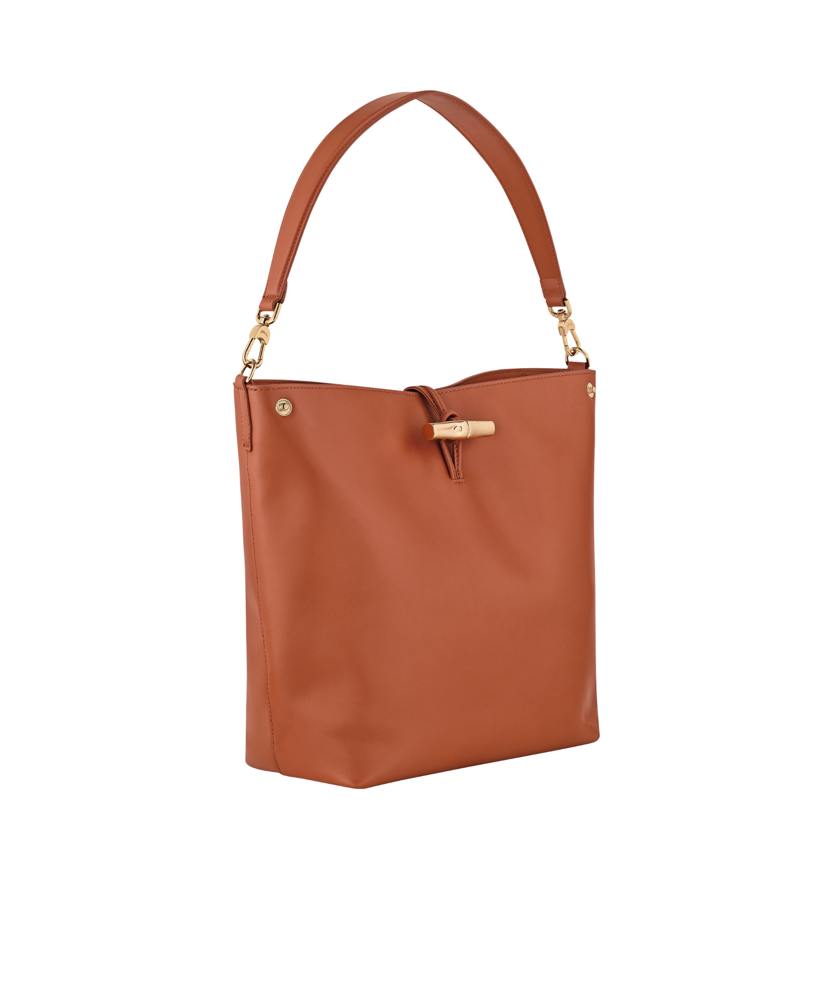 Le Roseau M Hobo Bag alternate view